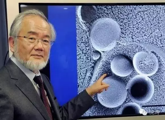 我们疯狂地抢房子，他们在疯狂布局未来！机器人赫然在列！