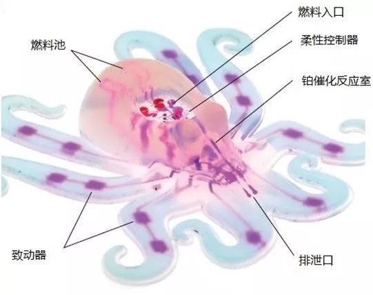 一文读懂柔性机器人，看似“柔若无骨”的背后有哪些黑科技