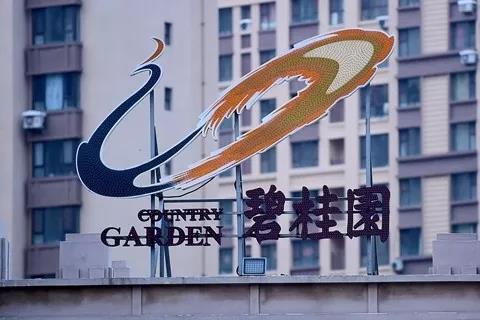 碧桂园高层人事大变动 发力机器人、现代农业业务